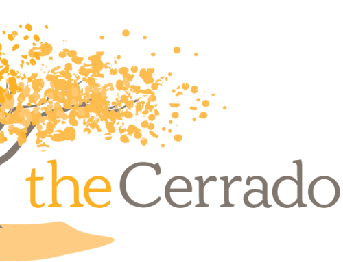 THE CERRADO GROUP HOLDS ANNUAL MEETING